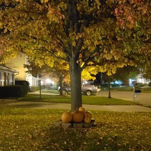 Meet your Posher, Jaime